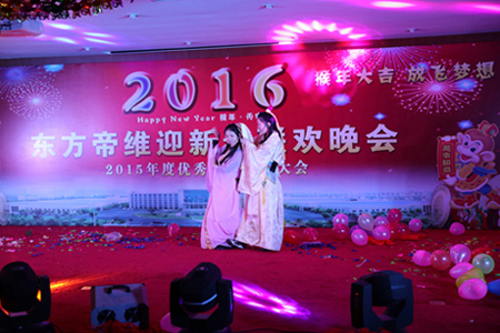 东方帝维2016迎新春晚会及2015年终总结表彰大会