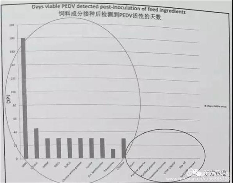 干货!「李曼大会」猪流行性腹泻报告云集