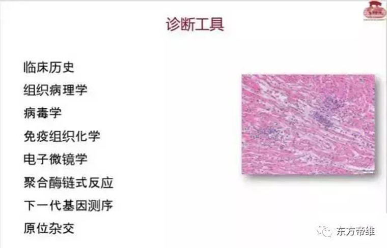 连载：东方帝维直播李曼大会，干货都在这里！！！