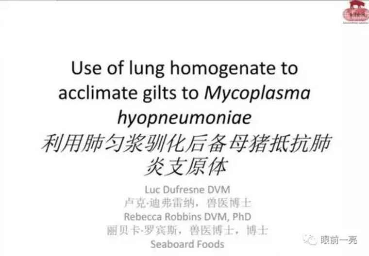 特别关注：快来看！李曼会议***后1天，专家讲了什么？