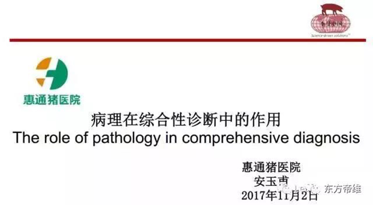 东方帝维直播李曼大会，干货都在这里！！！