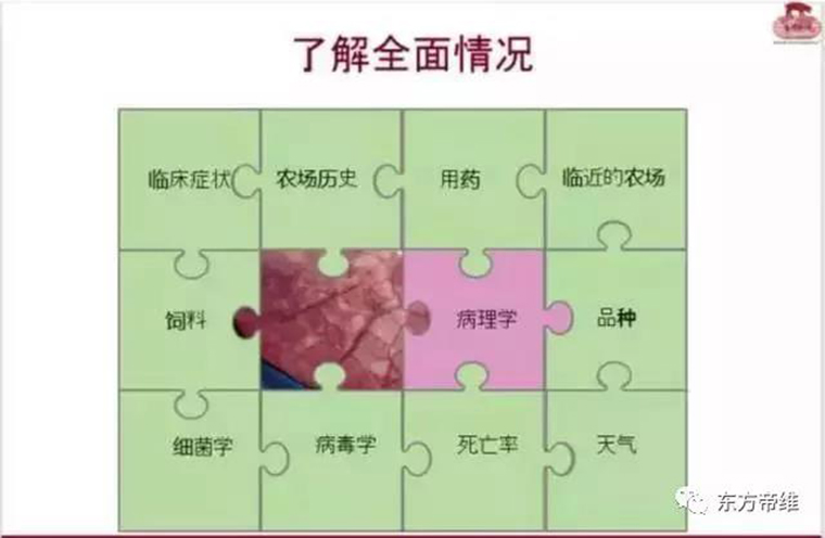 连载：东方帝维直播李曼大会，干货都在这里！！！