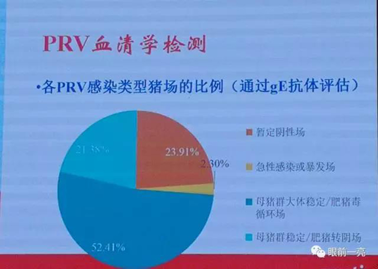 连载：东方帝维直播李曼大会，干货都在这里！！！