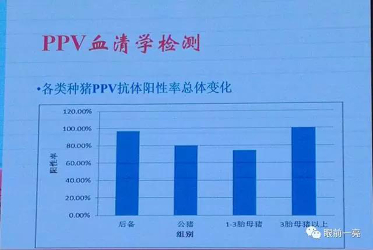 连载：东方帝维直播李曼大会，干货都在这里！！！