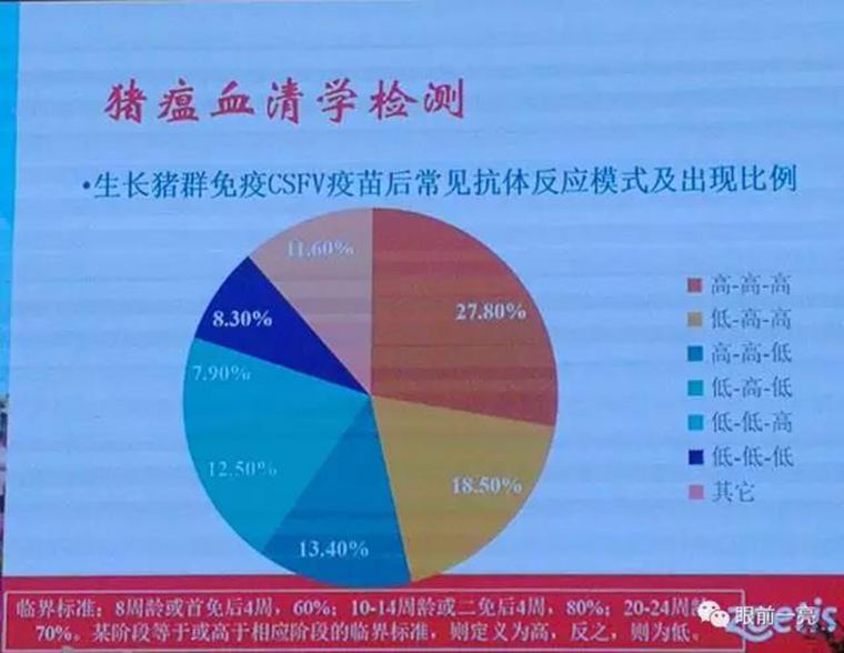 连载：东方帝维直播李曼大会，干货都在这里！！！