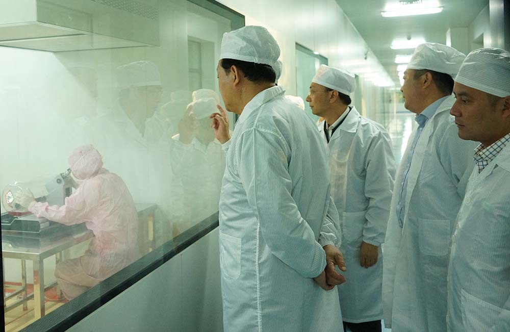 安徽省副省长梁卫国一行莅临公司参观指导