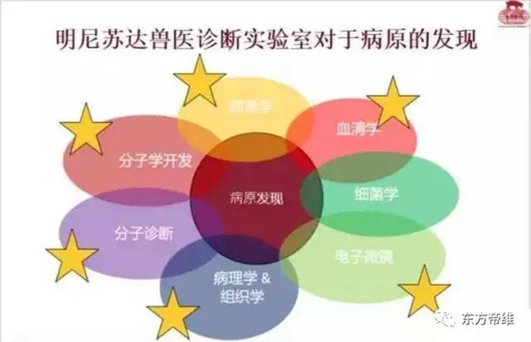 连载：东方帝维直播李曼大会，干货都在这里！！！