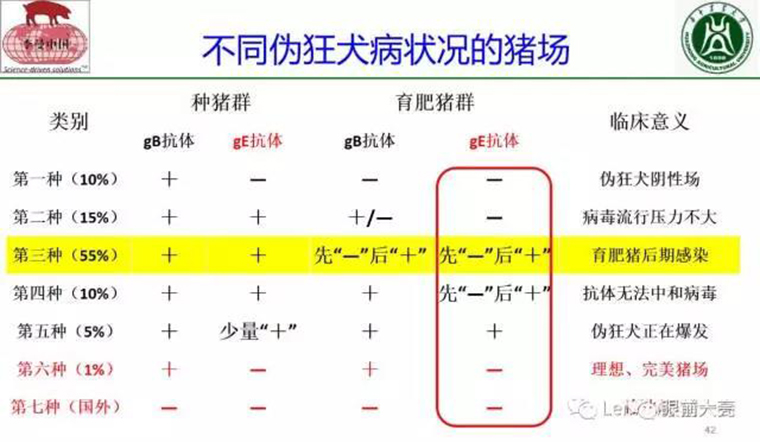 东方帝维直播李曼大会，干货都在这里！！！