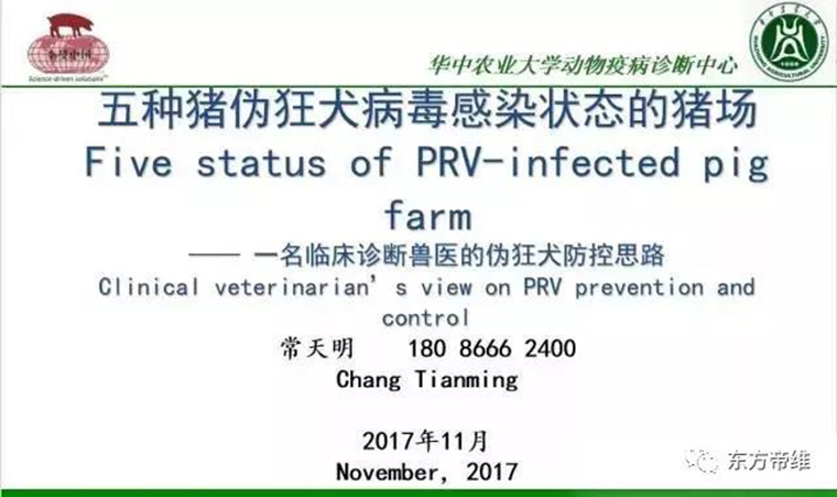 东方帝维直播李曼大会，干货都在这里！！！