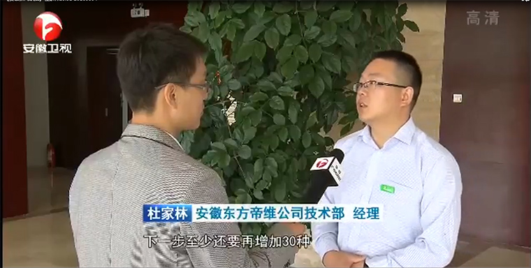 东方帝维技术经理杜家林接受安徽电视台采访