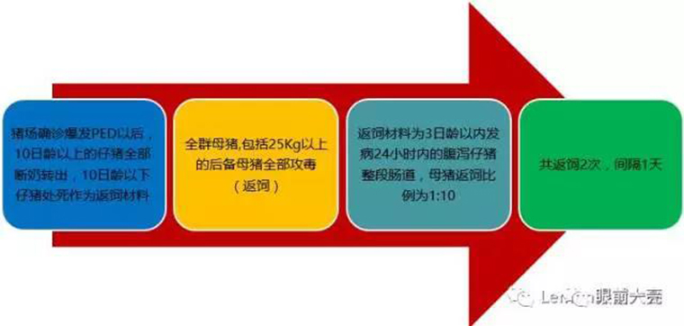 东方帝维直播李曼大会，干货都在这里！！！