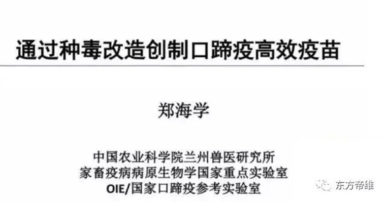 连载：东方帝维直播李曼大会，干货都在这里！！！