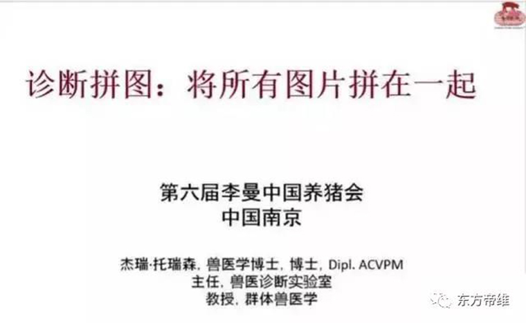 连载：东方帝维直播李曼大会，干货都在这里！！！