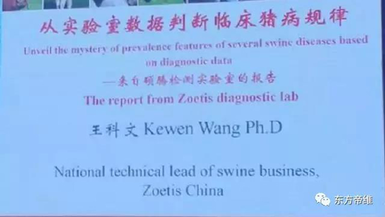 连载：东方帝维直播李曼大会，干货都在这里！！！