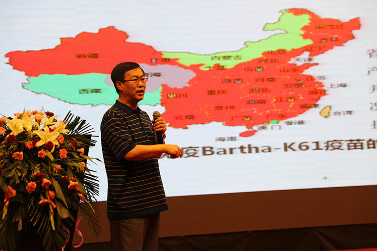 伪狂犬变异导致净化难？“124”方案效果显著！