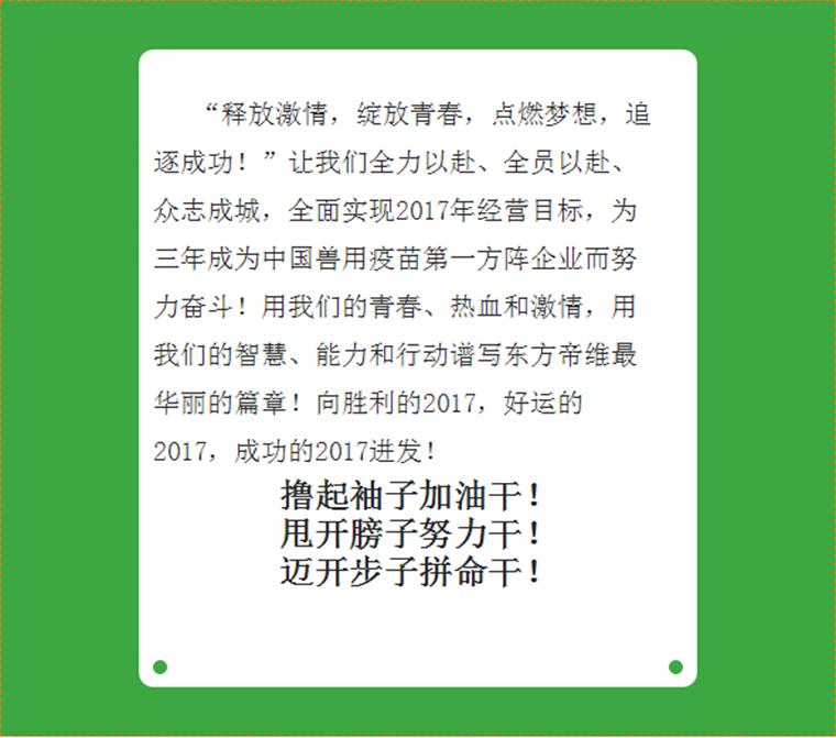 、创新、品质、速度——东方帝维2017这么干！