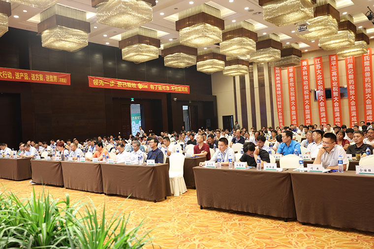 伪狂犬变异导致净化难？“124”方案效果显著！