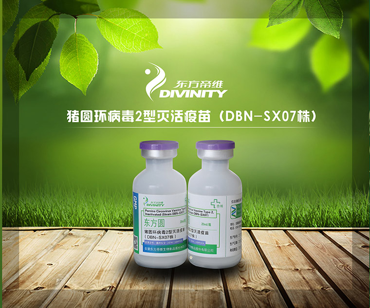 “桃李不言 下自成蹊”—— 东方帝维成果斐然 参观者络绎不绝！