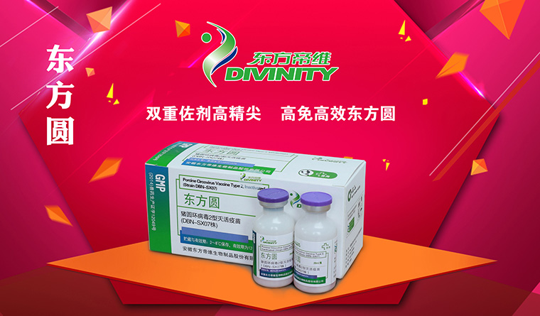 万头猪场老板和市县服务商云集，东方帝维事业合伙人招募如火如荼！