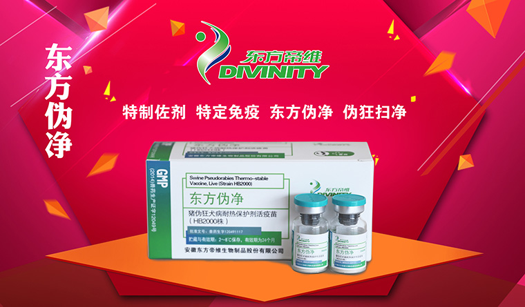 万头猪场老板和市县服务商云集，东方帝维事业合伙人招募如火如荼！