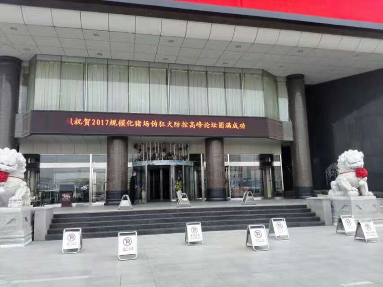 爆品暴动 东方伪净大卖