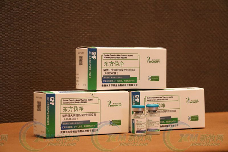 为了免疫净化和生产成绩，你做好淘汰猪的准备了么？