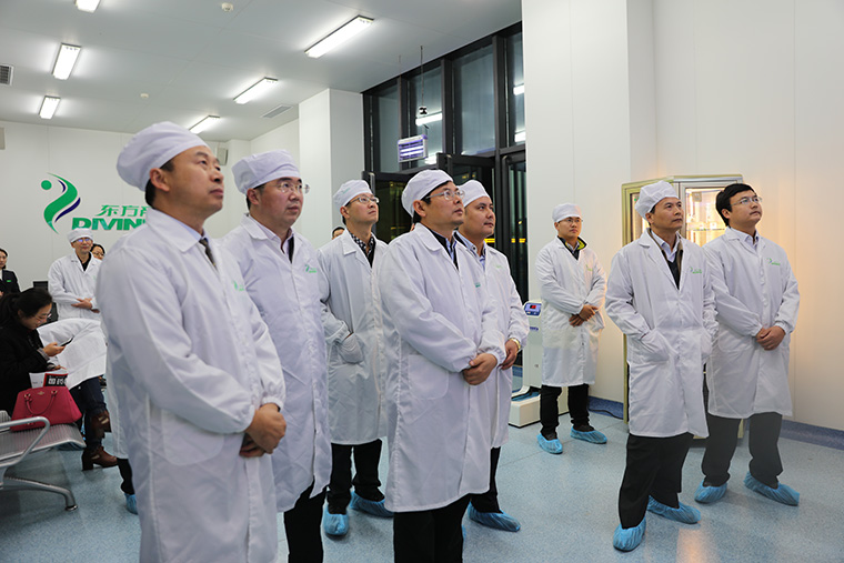 东方帝维荣获安徽省“三重一创”项目支持