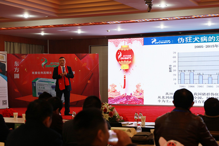 万头猪场老板和市县服务商云集，东方帝维事业合伙人招募如火如荼！