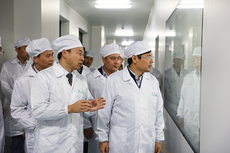 东方帝维荣获安徽省“三重一创”项目支持