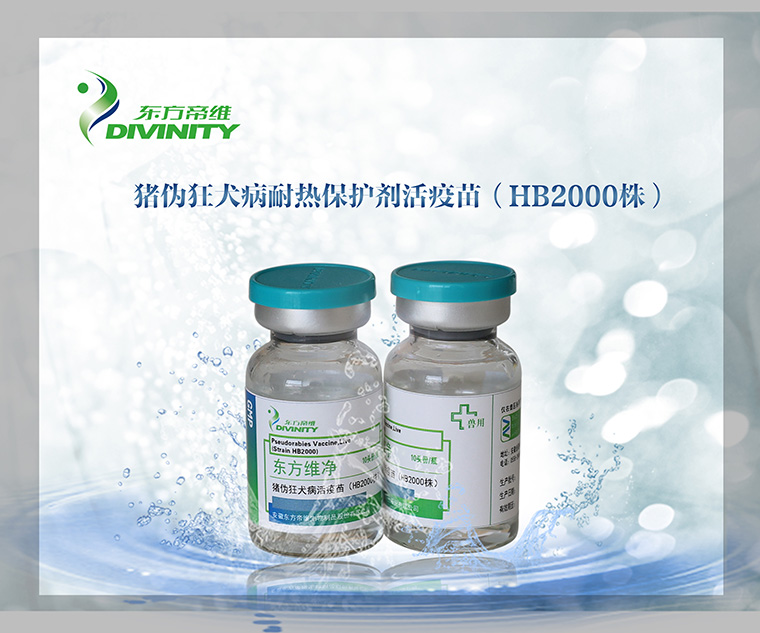 “桃李不言 下自成蹊”—— 东方帝维成果斐然 参观者络绎不绝！