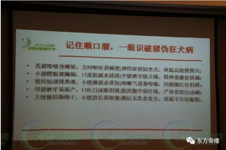 湖南猪博会——东方帝维专场系列活动