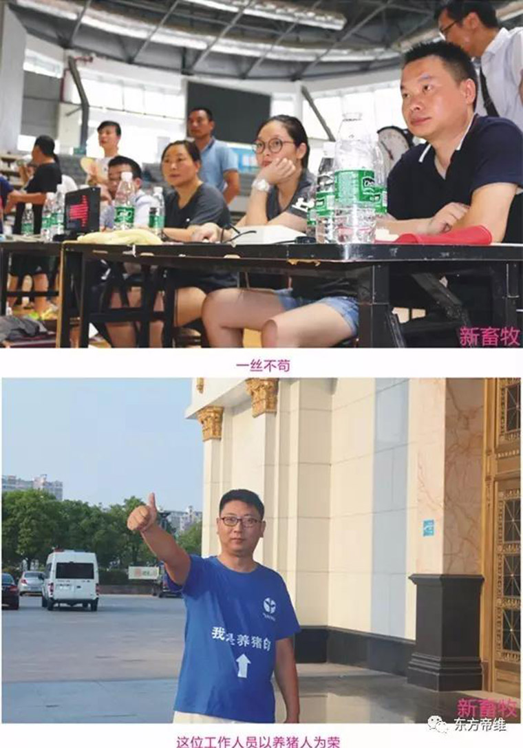 猪业新雄风 赛场竞风流——“东方帝维杯”首届江苏集团客户篮球友谊赛