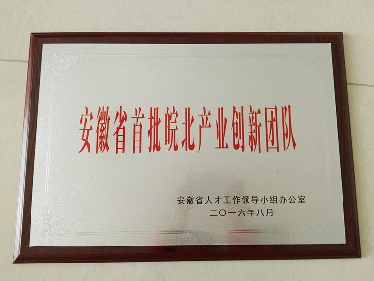 首批皖北产业创新团队 东方帝维榜上有名