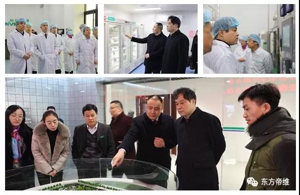 创新科研  造福动保  | 张改平院士莅临东方帝维参观指导