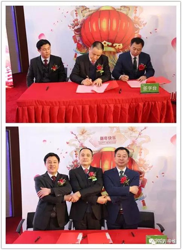 凝心聚力 跨越发展 | 东方帝维2018新春年会报道