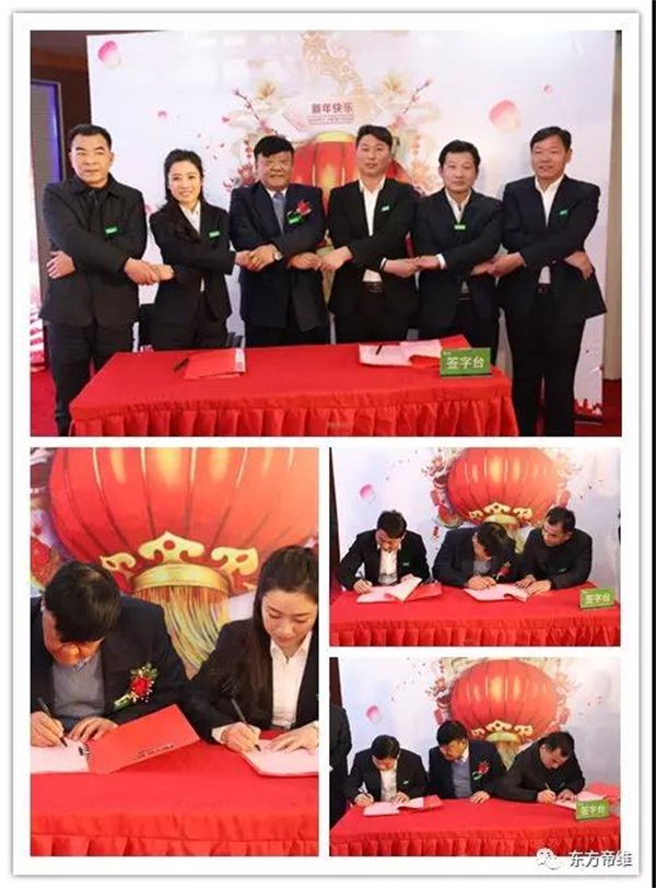 凝心聚力 跨越发展 | 东方帝维2018新春年会报道