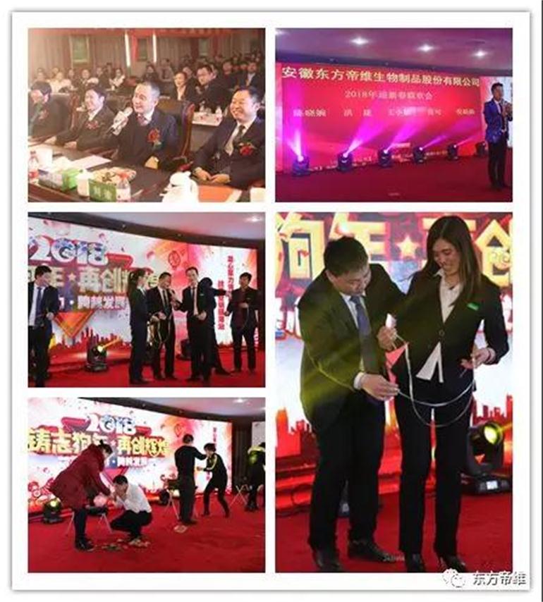 凝心聚力 跨越发展 | 东方帝维2018新春年会报道