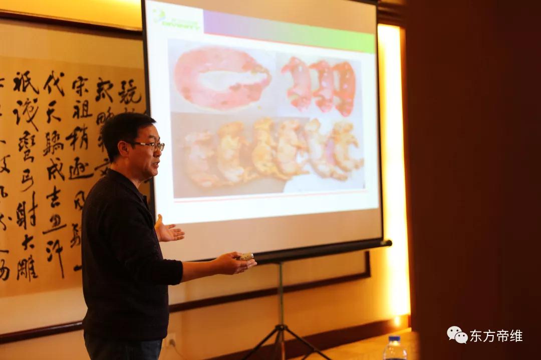 “论道衡山 放飞梦想”——东方帝维“战略合作伙伴”高峰论坛