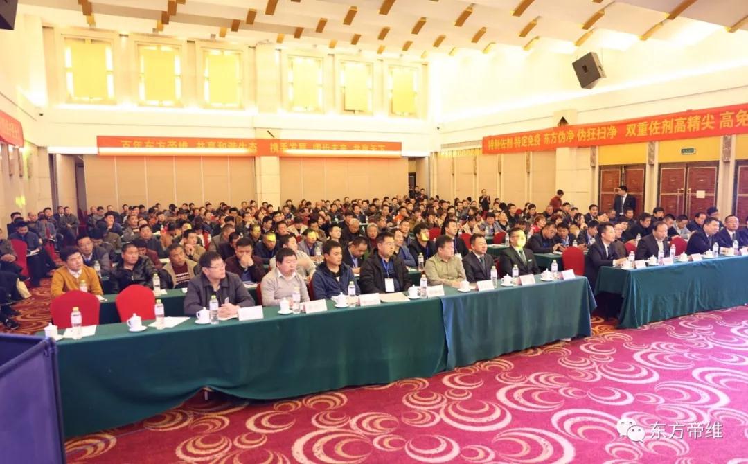 泰山论道 福祉东来 东方帝维事业合伙人峰会暨东方福上市发布会（泰山站）