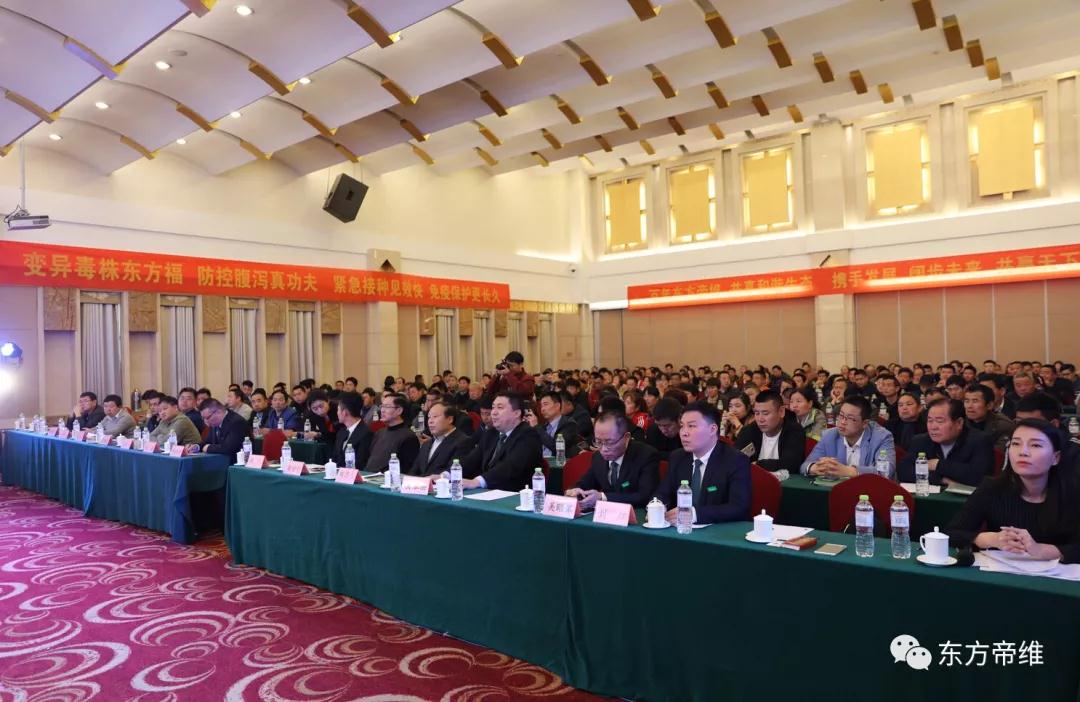 泰山论道 福祉东来 东方帝维事业合伙人峰会暨东方福上市发布会（泰山站）