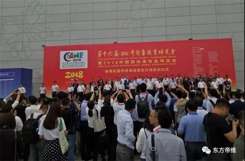 你好，重庆！东方帝维闪亮十六届畜博会