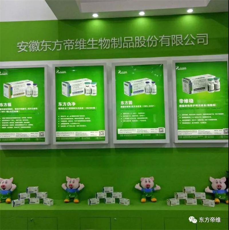 你好，重庆！东方帝维闪亮十六届畜博会