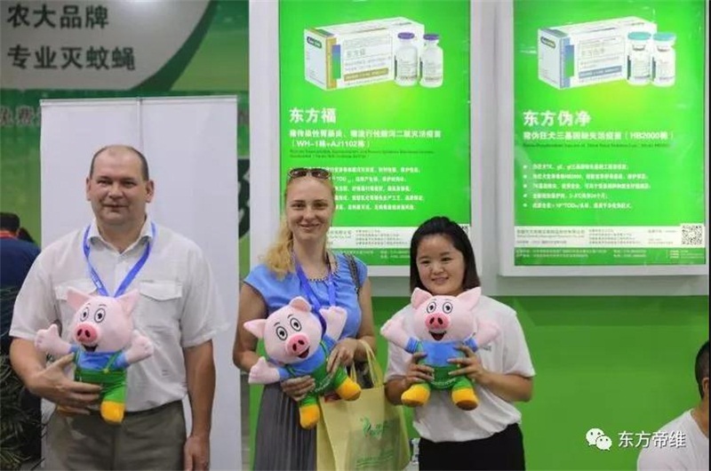 你好，重庆！东方帝维闪亮十六届畜博会