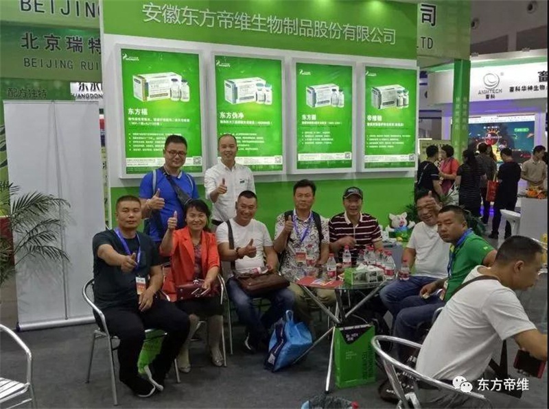 你好，重庆！东方帝维闪亮十六届畜博会