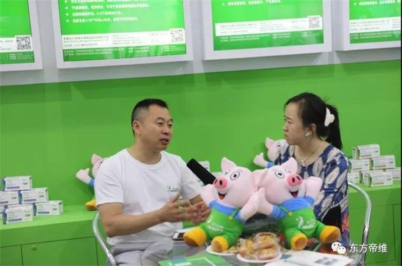 你好，重庆！东方帝维闪亮十六届畜博会