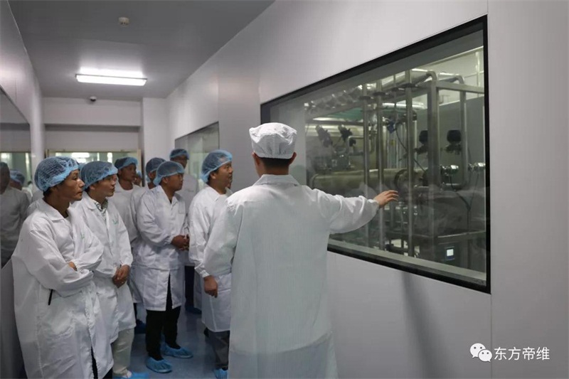 相约亳州论道 · 相聚东方帝维——湖北规模化猪场东方帝维体验之旅