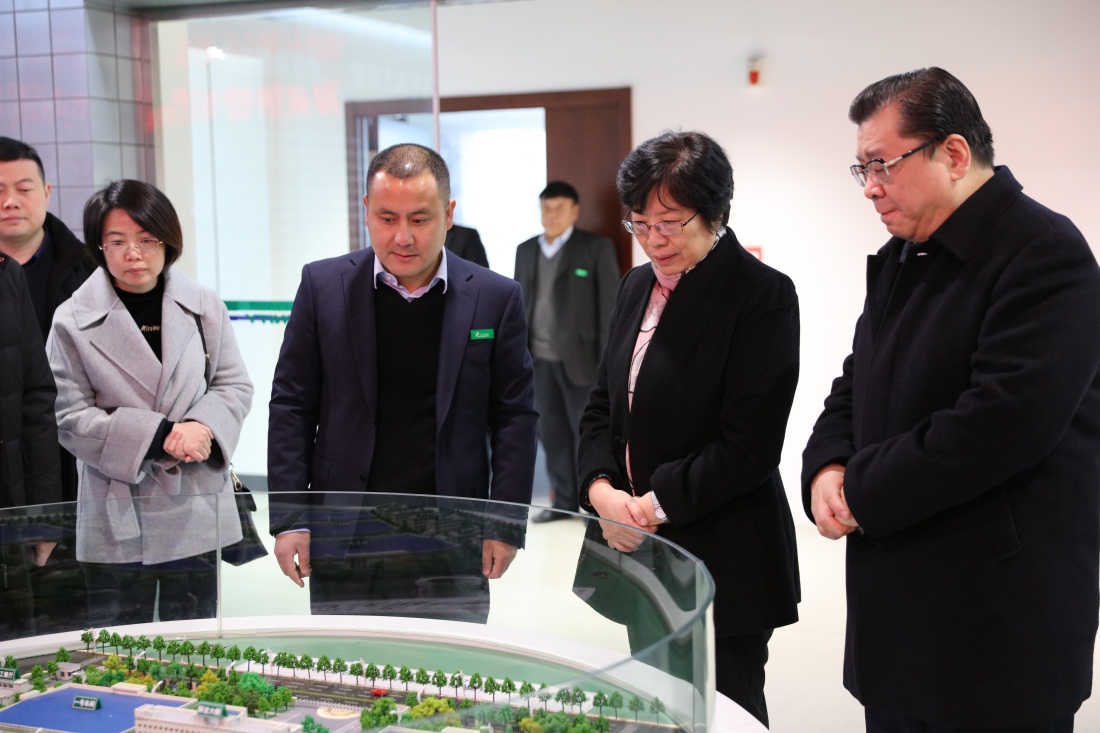 安徽省委常委、统战部部长刘莉一行莅临东方帝维参观调研