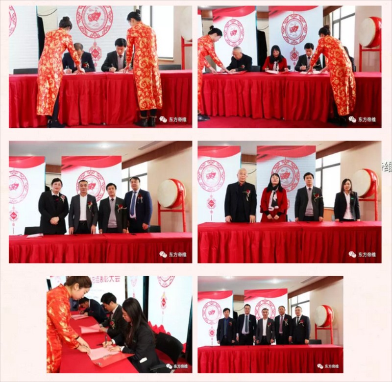 疫苗匠心智造 不忘初心逐梦前行 东方帝维集团2019年年会隆重召开