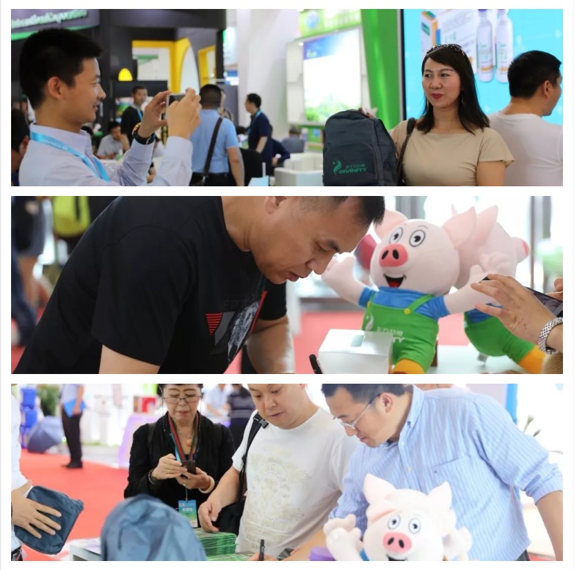 东方帝维闪亮2019畜博会