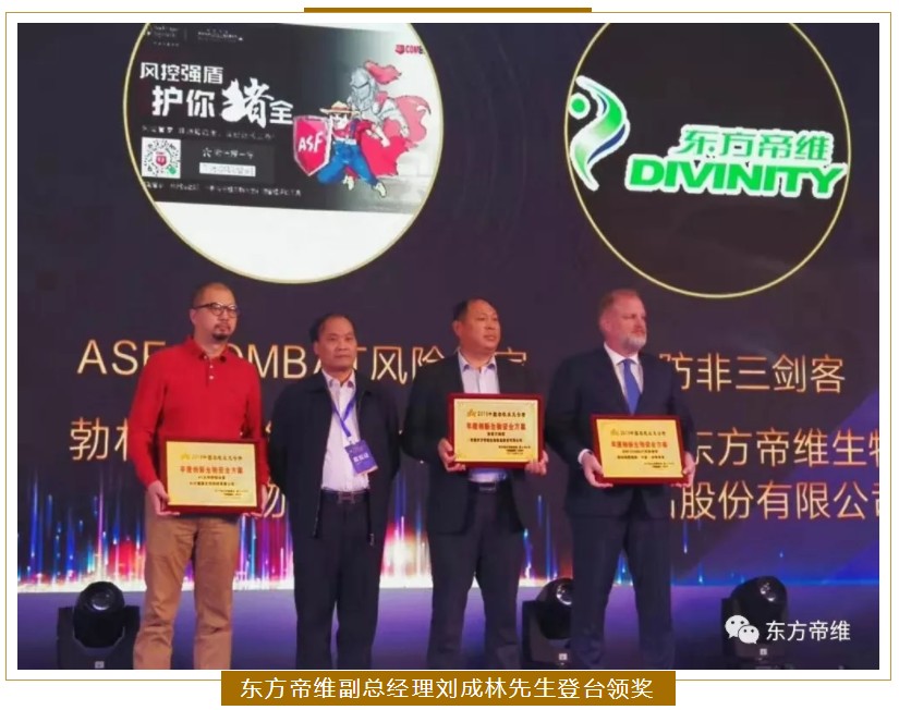 向“阳”生长，“帝”星闪耀！